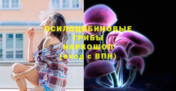 спиды Гатчина
