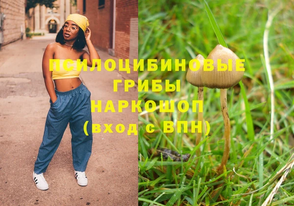 не бодяженный Новодвинск
