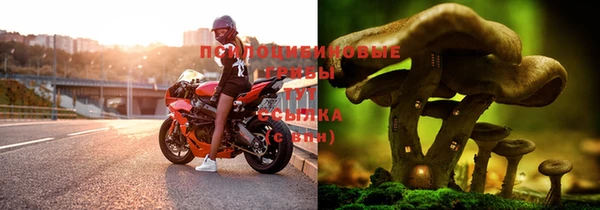 спиды Гатчина