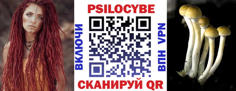 гидра tor  Фролово  Псилоцибиновые грибы прущие грибы 